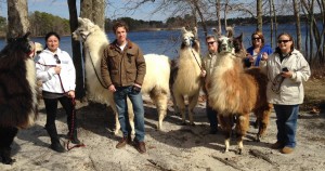 Llama Walk with Cook Family