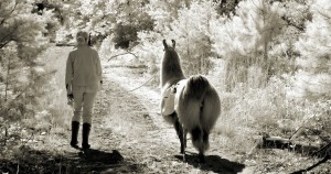 Llama walk with Gunner